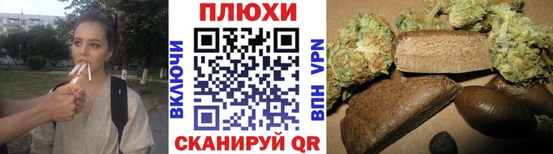 ГАШ Premium  Коркино 