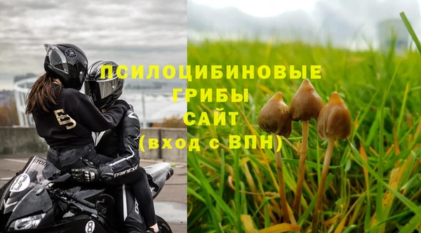 ALPHA PVP Алзамай