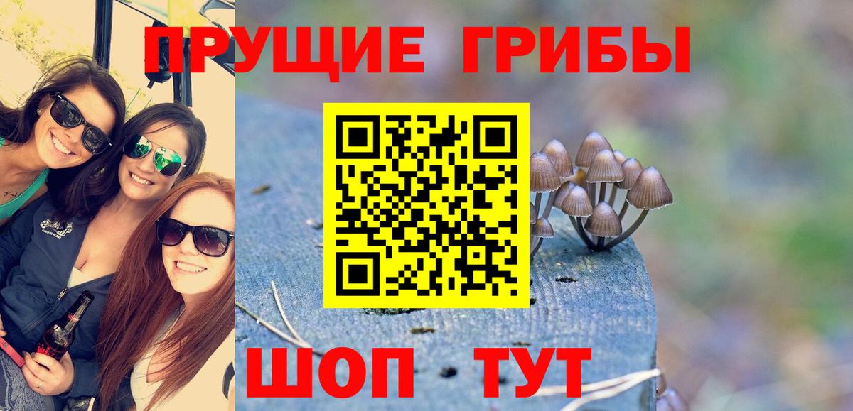 Коркино  Псилоцибиновые грибы мухоморы  Галлюциногенные грибы прущие грибы  Вход с VPN 