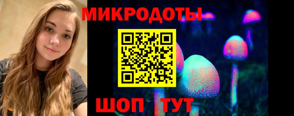 Псилоцибиновые грибы мицелий Коркино
